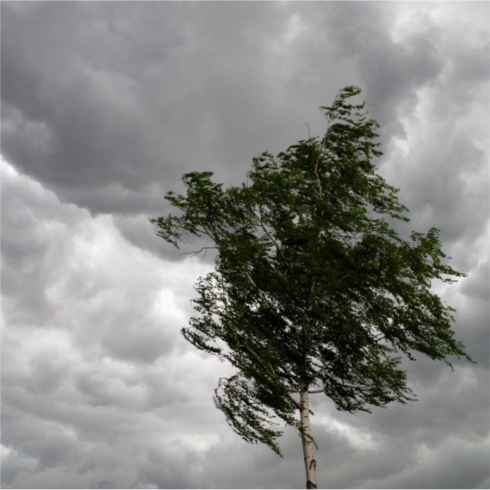 31 августа ожидаются неблагоприятные метеорологические явления: порывы ветра до 18 м/с.