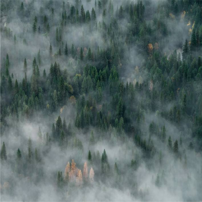 01 октября ночью и утром местами по краю ожидается туман