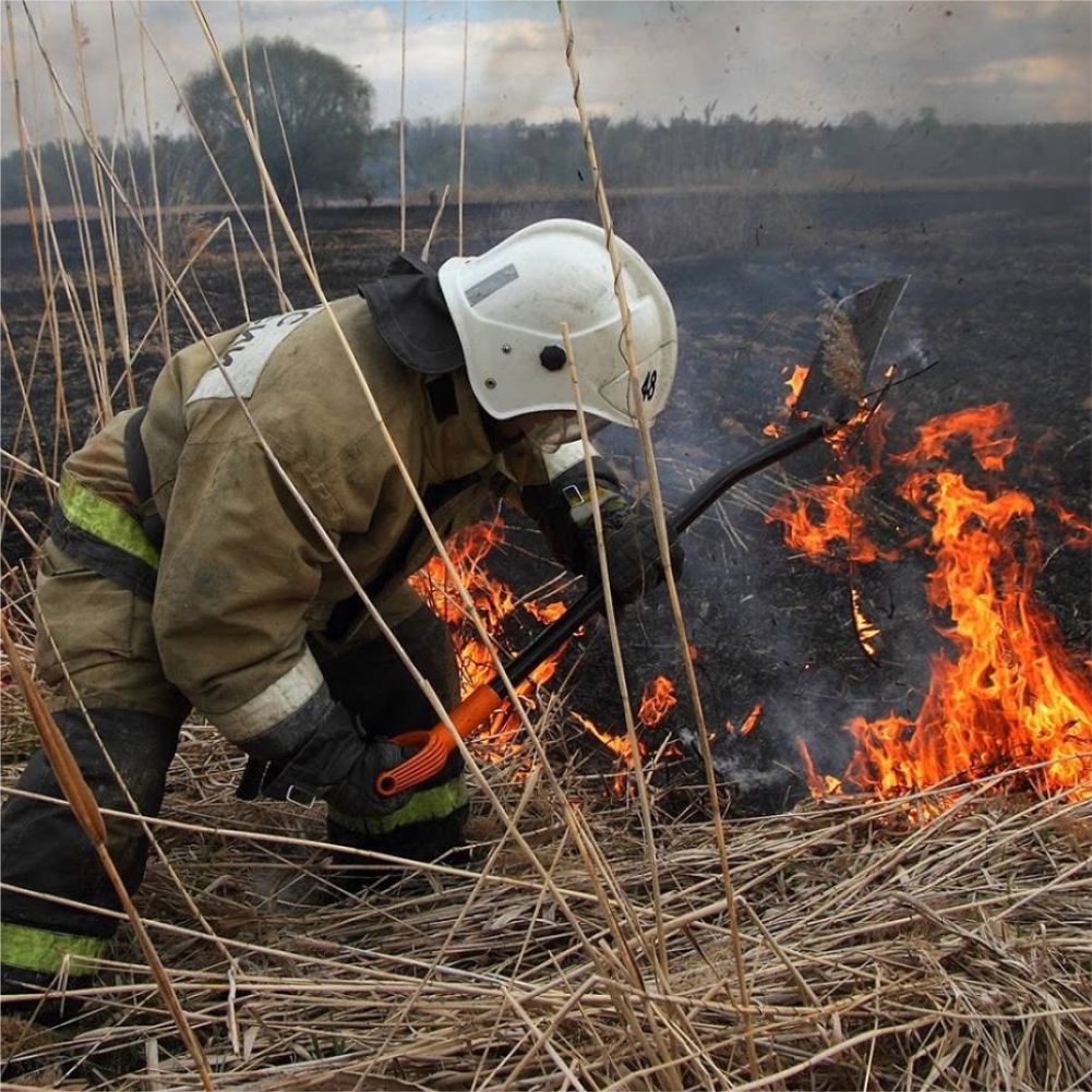 С 1 по 2 мая 2023 года местами по югу Пермского края сохранится высокая пожарная опасность (4 класс)