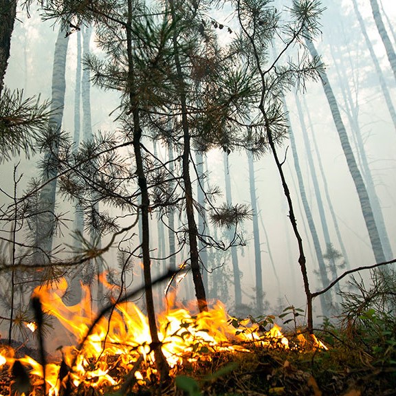Причина запаха гари и дымки в городе – лесные пожары в  Ханты-Мансийском округе и в окрестностях города Кизел