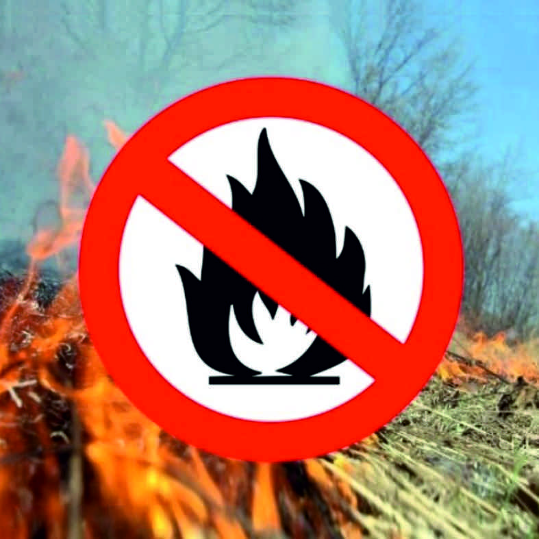 С 29 апреля по 29 мая на территории муниципального образования «Город Березники» введен особый противопожарный режим