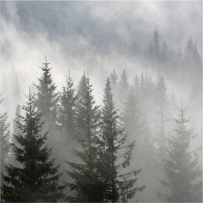 02 сентября ночью в отдельных районах Пермского края ожидается туман