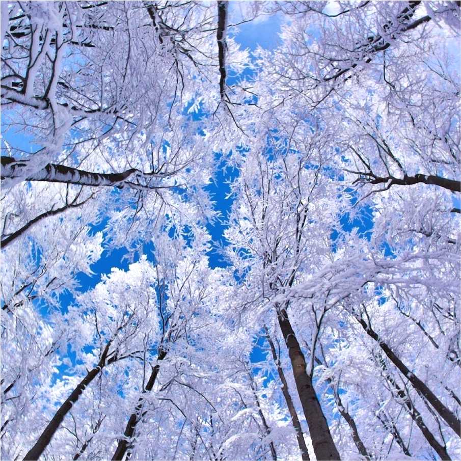 С 20 часов 18 декабря до 20 часов 19 декабря в Пермском крае ожидаются неблагоприятные метеорологические явления