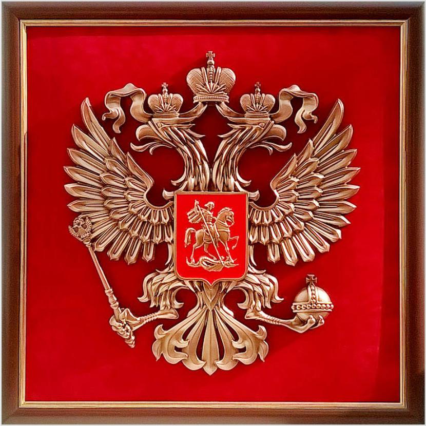 Глава Березников вручил награды участникам Специальной военной операции