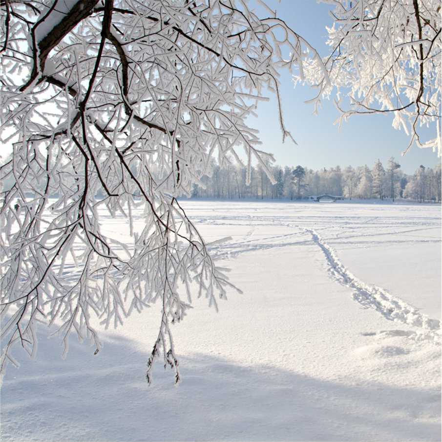 03 - 04 декабря 2022 года местами по югу Пермского края ожидаются опасные метеорологические явления: сильное снежное отложение
