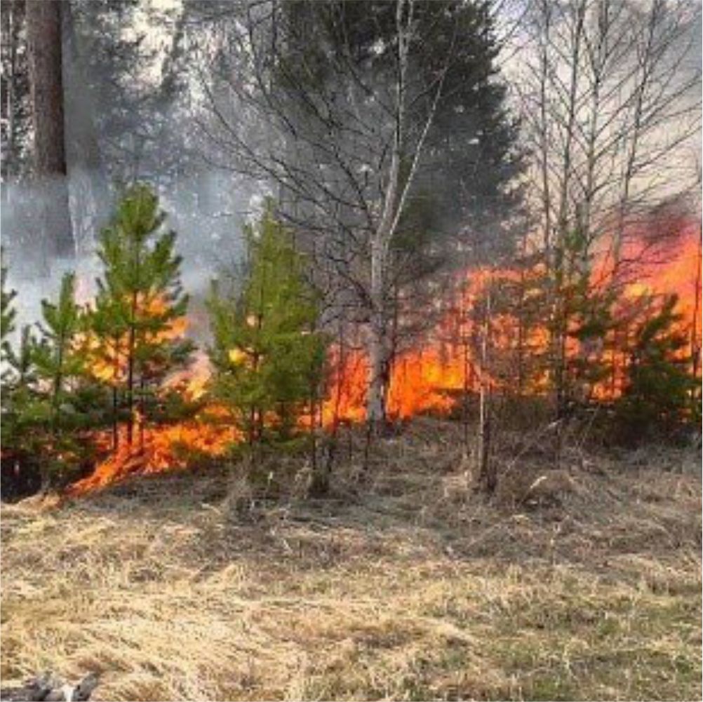 Внимание! 25-27 апреля по югу на большей части территории Пермского края ожидается высокая пожарная опасность (4 класс)