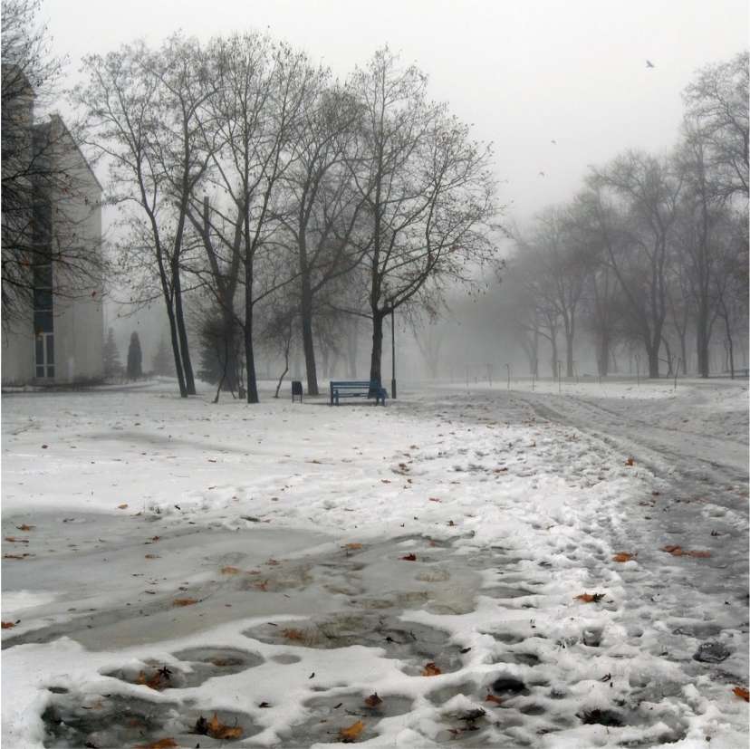 22 октября на территории края ожидается мокрый снег, на дорогах гололедица