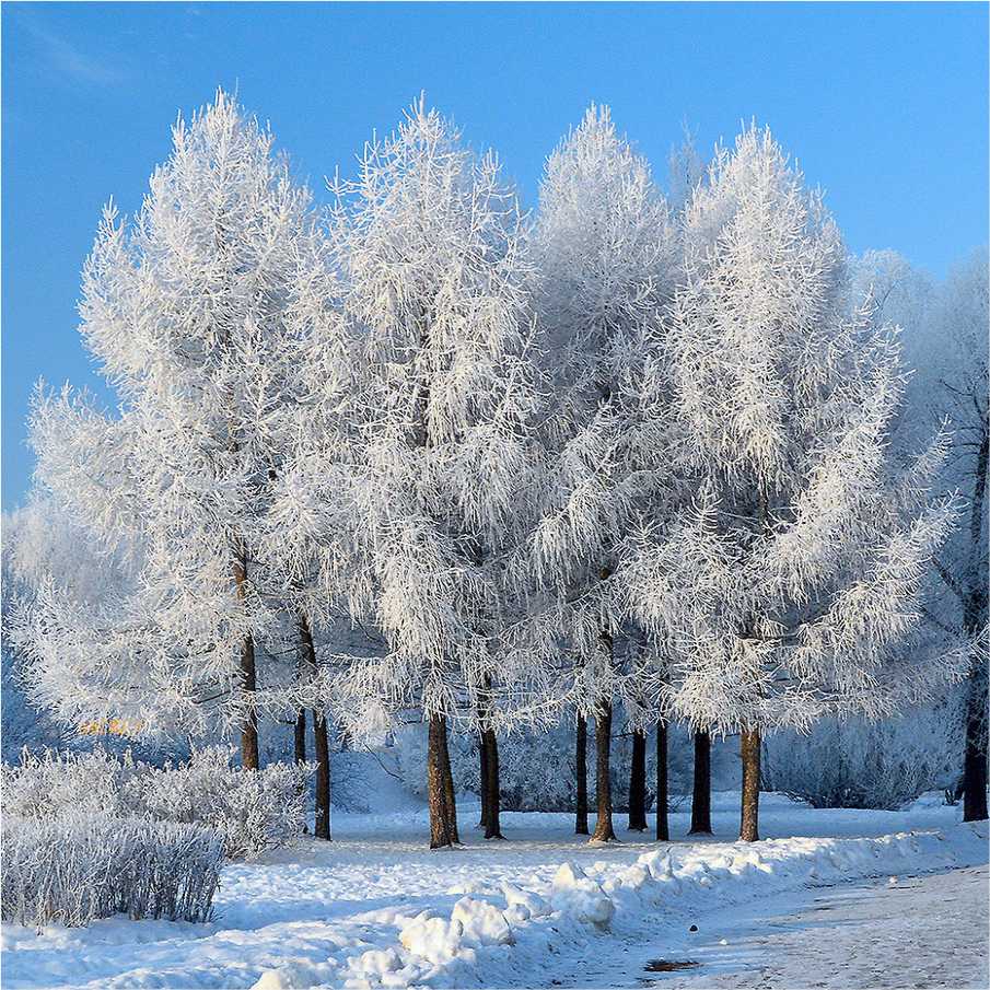 8 - 10 декабря 2022 года местами по Пермскому краю сохранятся опасные метеорологические явления: наслоение на проводах, линиях электропередач и ветвях деревьев изморози и гололёда