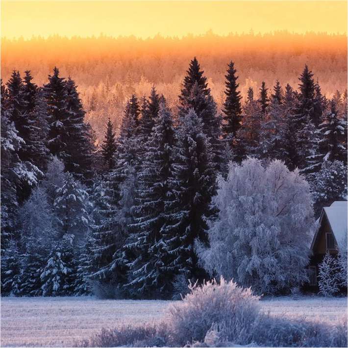09 января по Пермскому краю сохранится аномально холодная погода