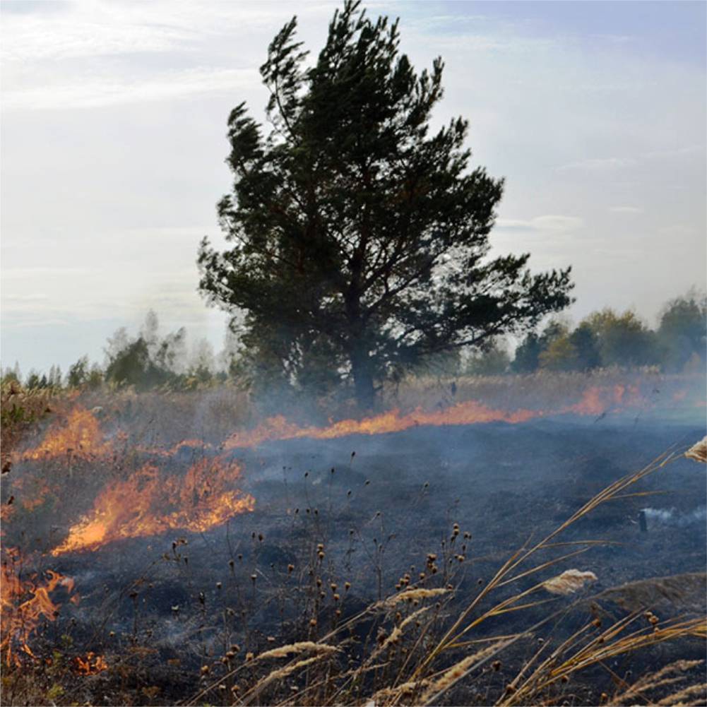 С приходом весны на территории Пермского края зарегистрированы 236 ландшафтных пожаров, связанных с горением сухой травы. Все пожары произошли по вине человека!