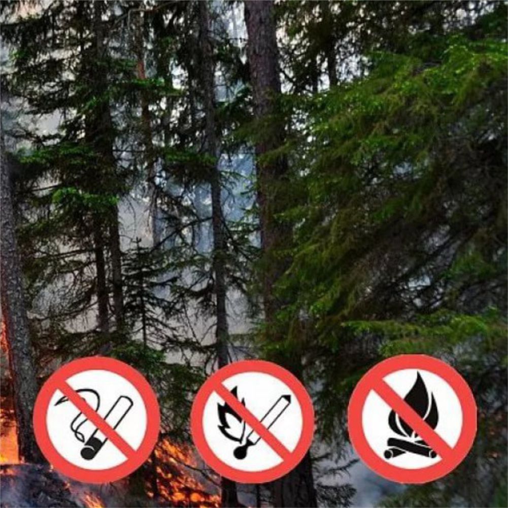 26 сентября местами по Пермскому краю сохранится высокая пожарная опасность