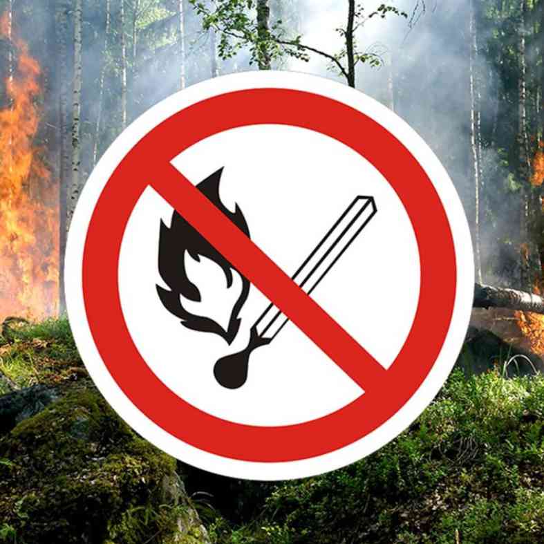 18 августа в Пермском крае ожидается высокая пожарная опасность (4 класс)