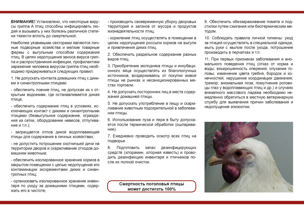 грипп птиц памятка фермерам и населению_page-0002.jpg