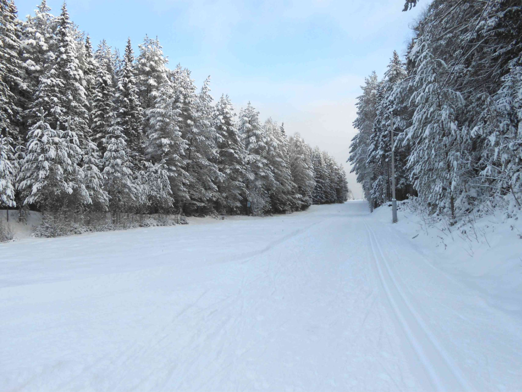 Лыжные трассы в Новожилово.jpg